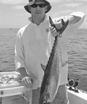 Squid and garfish are good baits for mackerel like this one. Mackerel will be found on Gladstone’s reefs in February.